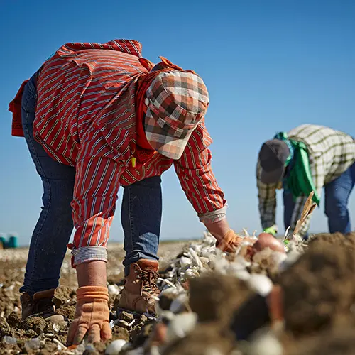 Two woman working on a farm