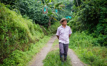 Man walking along a green open path