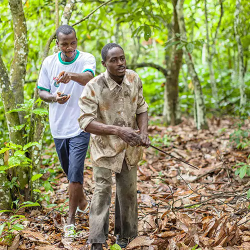 Two men walking in a forest