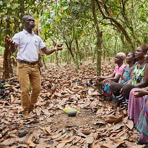 Group of woman sitting on a tree log in a forest while a man is explaining something to them