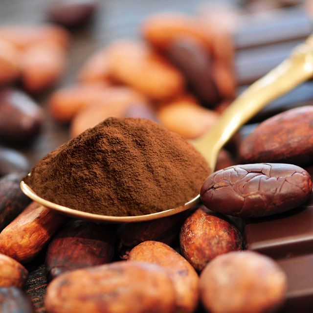 Close up shot of coffee beans and a scoop of cocoa powder on a golden teaspoon