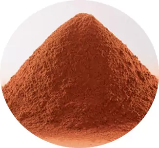 Close up shot of Joanes cocoa powder