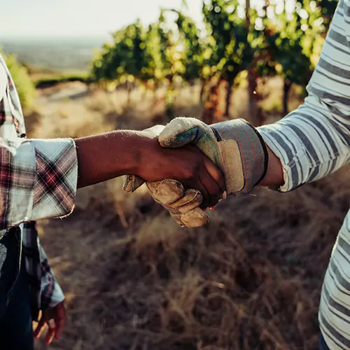 Two people shaking hands