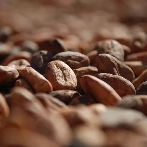 Close up of coffee beans