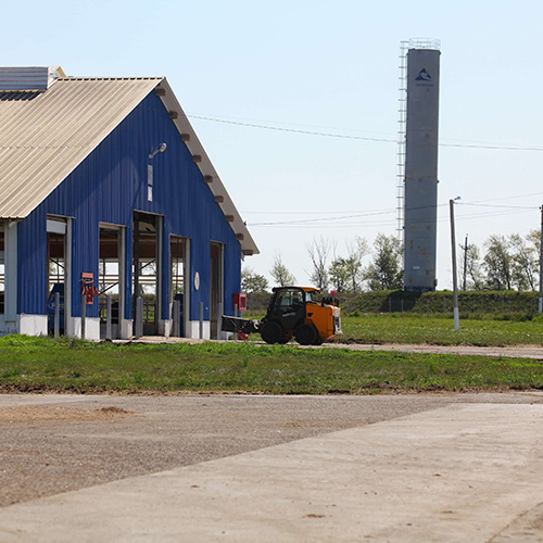 Wide shot of a diary farm